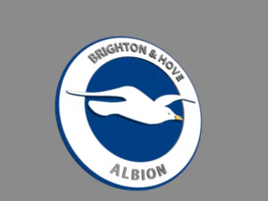 Brighton Hove Albion FC Modelo 3D