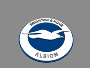 Brighton Hove Albion FC Modelo 3D