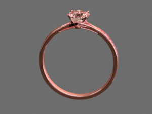 Engagement Ring 3Dモデル
