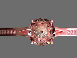 Engagement Ring 3Dモデル