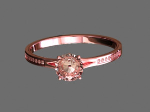 Engagement Ring 3Dモデル