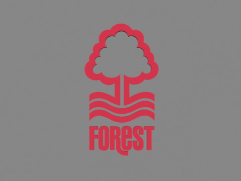 Nottingham Forest FC Modelo 3D