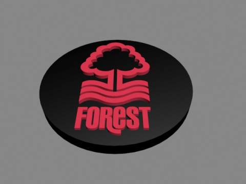 Nottingham Forest FC Modelo 3D