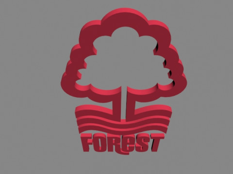 Nottingham Forest FC Modelo 3D