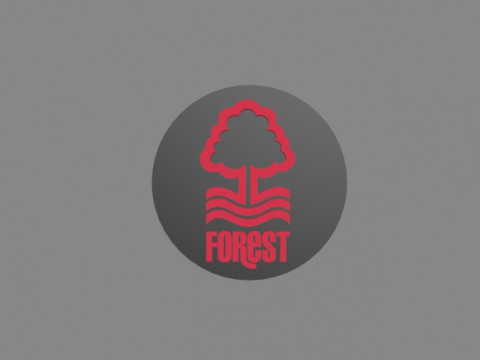 Nottingham Forest FC Modelo 3D