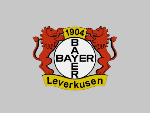 Bayer Leverkusen FC Modelo 3D