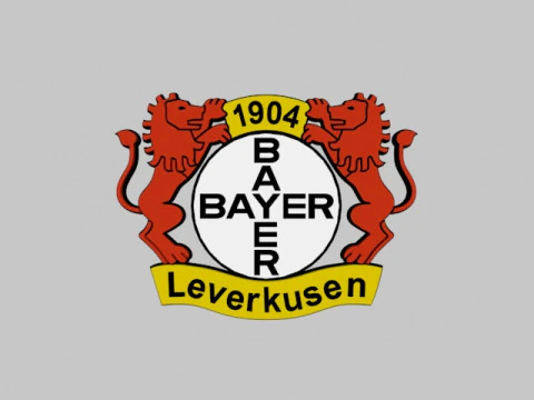 Bayer Leverkusen FC 3D Model