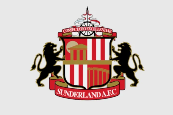 SUNDERLAND AFC 3D Model .c4d .max .obj .3ds .fbx .stl .blend 