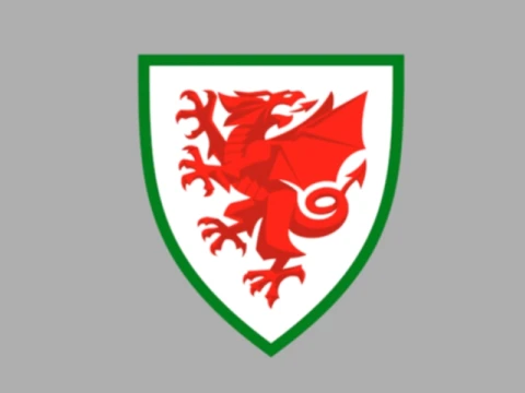 WALES ASSOCIATION FOOTBALL 3D Model
