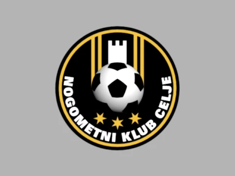 NK CELJE FOOTBALL 3D 모델
