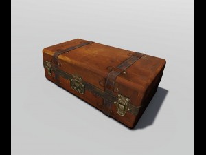trunk Modelo 3D