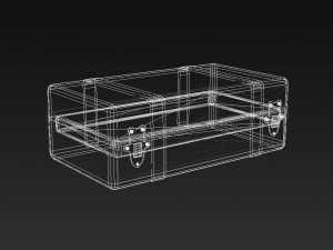 trunk Modelo 3D
