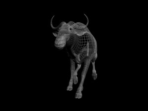 cow run 3D मॉडल