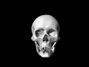 lowpoly skull 3D-Modell