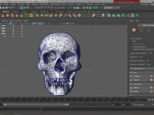 lowpoly skull 3D-Modell