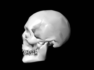 lowpoly skull 3D-Modell