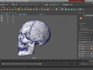 lowpoly skull 3D-Modell
