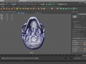lowpoly skull 3D-Modell