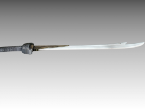 ascent shord 3D 모델
