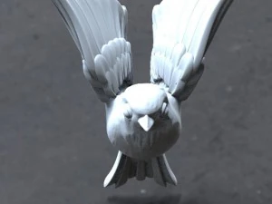 птахів 3D Принт Модель