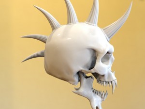 skull 3D Model