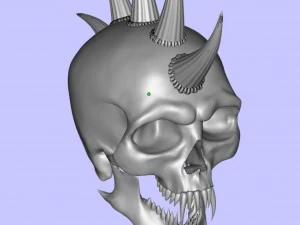 skull 3D Model