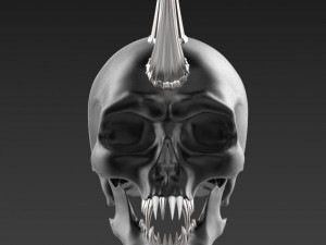skull 3D Model