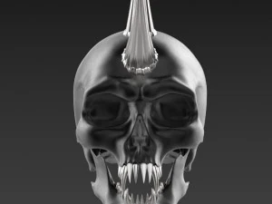 skull 3D Model