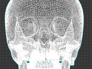 scull 3D मॉडल