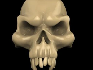 Sch&auml;del 3D Modell