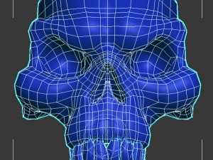 skull 3D Model