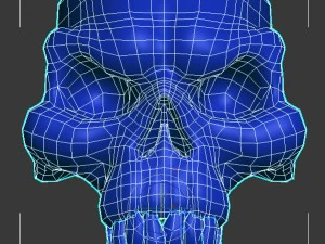 skull 3D Model
