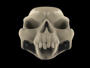skull 3D Model
