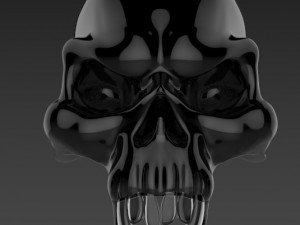 skull 3D Model