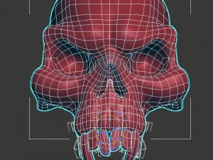 skull 3D Model