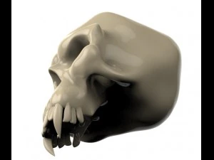 skull 3D Model