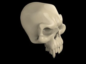 skull 3D Model