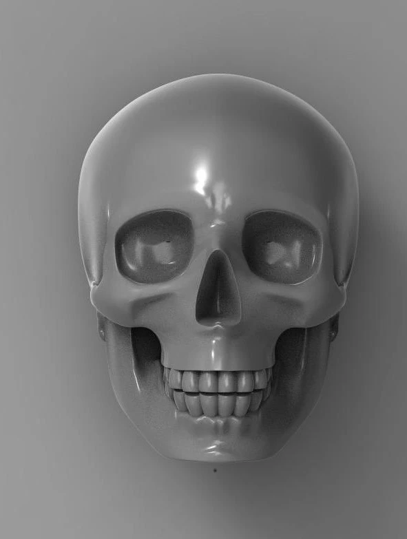 skull 3D Model .c4d .max .obj .3ds .fbx .stl .blend