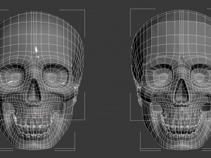 skull Modèle 3D