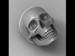 skull Modèle 3D