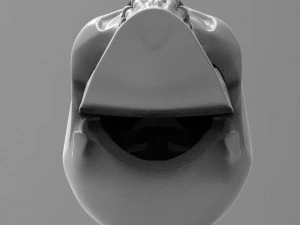 skull 3D Model