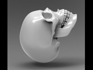 skull Modèle 3D