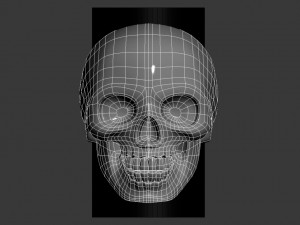 skull 3D-printmodel