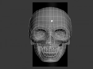 skull 3D Print Model
