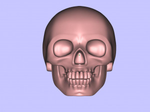 skull 3D-printmodel