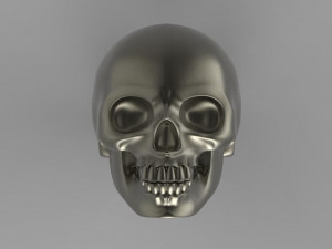 skull 3D-printmodel