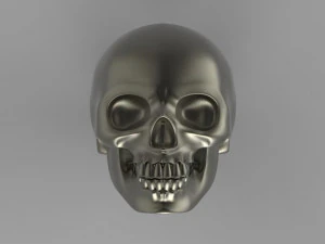 skull 3D Print Model