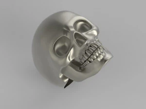 skull 3D Print Model