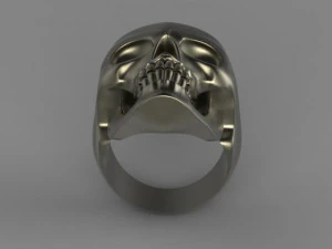 skull 3D Print Model