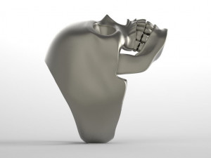 skull 3D-printmodel
